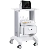 Vevor Laborwagen mit 1 Schublade 2 Ebenen