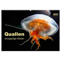 Calvendo Quallen - einzigartige Wesen (Wandkalender 2025 DIN A2
