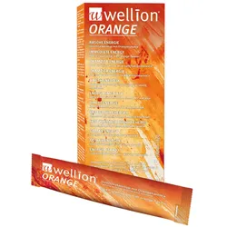 WELLION ORANGE Invertzuckersirup Beutel 10X13 ml Beutel
