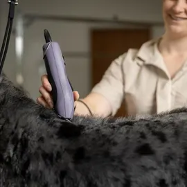 Agrarzone Wahl KM10+ Hunde Schermaschine mit Aufsteckkamm Set