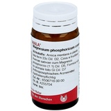 MAGNESIUM PHOSPHORICUM COMP.Globuli 20 g