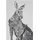 Maxwell & Williams Marini Ferlazzo Geschirrtuch mit Tiermotiv Känguru 100% indische Baumwolle, weiß, 50 x 70 cm