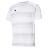 Puma Unisex Kinder Teamvision Jersey Jr Shirt, Puma White-glacier Gray-puma Black, 164