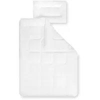 Julius Zöllner Basic,