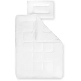 Julius Zöllner Basic,