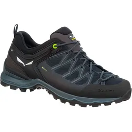 Salewa Mountain Trainer Lite Herren Black/Black 45
