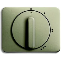Busch-Jaeger Zentralscheibe pall 2542 DR/01-260