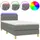 vidaXL Boxspringbett mit Matratze & LED Dunkelgrau 80x200 cm Stoff