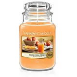 Yankee Candle Farm Fresh Peach große Kerze 623 g