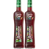 Berentzen | Smoothie Shot Berry Kiss | 50% Fruchtgehalt* | Geschmack von Heidelbeere, Erdbeere & schwarzer Johannisbeere | Ideal als Shot, auf Eis oder Aperitif | 0,5L | 15% Vol. (Packung mit 2)
