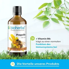 Bioherba Propolis Tropfen 50 ml
