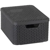 Curver Aufbewahrungsbox mit Deckel Style L 30L Metallic Silbern - Silber