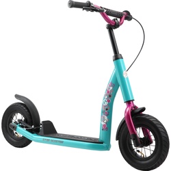 Star Scooter, Scooter