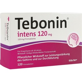 Dr.Willmar Schwabe GmbH & Co.KG Tebonin intens 120 mg Filmtabletten 120 St.