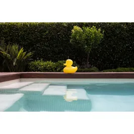 Smart and Green Duck-Duck S gelb