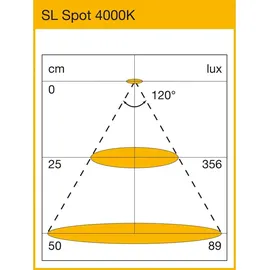 Siro SL-Mono Spot 3 W verchromt glänzend 4000 K