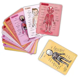 Janod Bodymagnet In 12 Sprachen - Multicolor - 12 Monate-7 Jahre