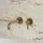 Omnires Y1215HLGLB Einhandmischer Brushed Gold