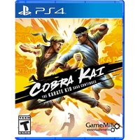 Maximum Games Cobra Kai: The Karate Kid Saga Continues