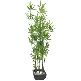 Europalms Zierbambus in Dekoschale, 120cm