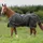 Bucas Irish Turnout Pferdedecke 150g 155 cm Black/Gold