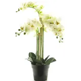 Kunstorchidee Kunstblume Phalaenopsis Orchidee CHENXU, weiß, 60 cm Orchidee (Orchidee phalaenopsis), artplants weiß