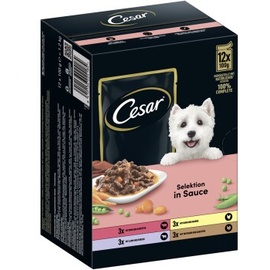 Cesar Favoriten in Sauce 48 x 100 g