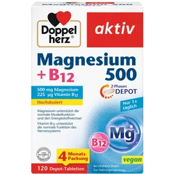 Doppelherz aktiv Magnesium 500 + B12