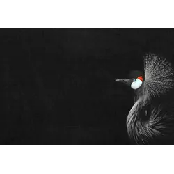 Fototapete LIVING WALLS "ARTist Crowned Crane Black", rot (rot, schwarz, weiß), B:4m L:2,7m, Vlies, Tapeten, Vlies, Wand, Schräge