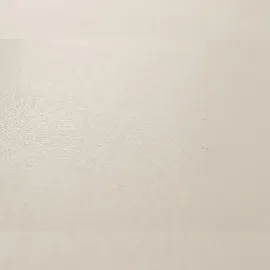 Mendler 2er-Set Esszimmerstuhl Stuhl Küchenstuhl Littau Leder, weiß, helle Beine