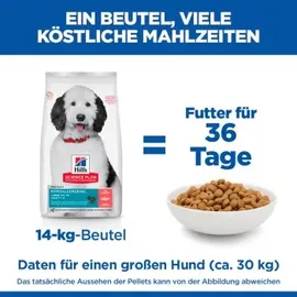 Hill's Hypoallergenic Large Breed Adult mit Lachs 2 x 14 kg