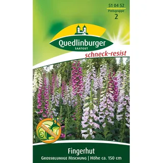 Quedlinburger Fingerhut ''großblumige Mischung''