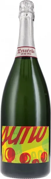 Magnum del Centenari Brut Nature Recaredo MAGNUM 2018 BIO