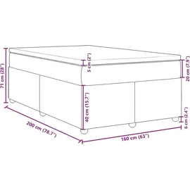 vidaXL Boxspringbett 160 x 200 cm Hellgrau
