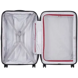 Delsey Segur 2.0 4-Rollen 75,5 cm / 105 l grey