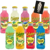 Calypso Lemonade Limeade 9er tasting - 1x pro Sorte je 473ml inkl. Pfand EINWEG