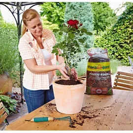 Floragard Pinienrinde 2-8 mm 3 x 20 l