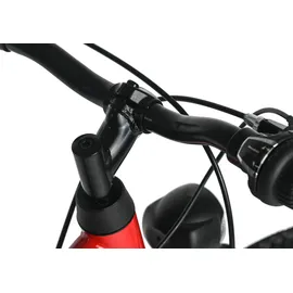 Dacapo Bobby 24 Zoll RH 32 cm rot