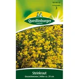 Quedlinburger Steinkraut ''Goldkörbchen''
