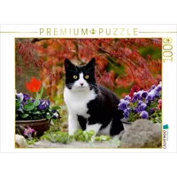 Calvendo Schwarz-weiße Katze im blühenden Garten Puzzle