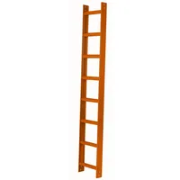 Iller-Leiter Iller Dachleiter 10 Sprossen
