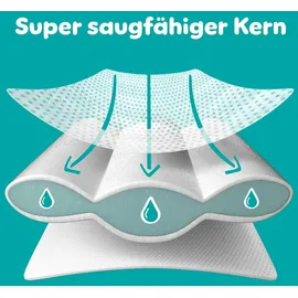 Pampers Baby-Dry Gr. 5+ (12-17 kg) 168 St.