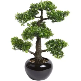 Botanic-Haus Kunstbonsai »Ficus Bonsai grün