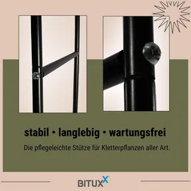 BITUXX Rosenbogen 240 x 0 x 0 cm Schwarz