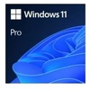 Microsoft Windows 11 Pro OEM (Betriebssystem)