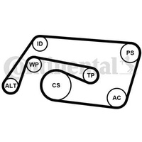 Continental CONTITECH 6PK2260K2 Keilrippenriemensatz