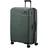 75 cm olive