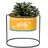 DanDiBo Ambiente Blumenhocker 34 x 30 x 25 cm Orange