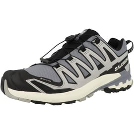 Salomon Herren XA Pro 3D V9 GTX Schuhe (Größe 44.5 , grau)