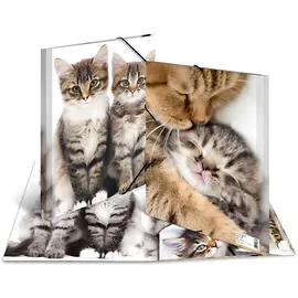 Herma Sammelmappe Tiere A4 katzen